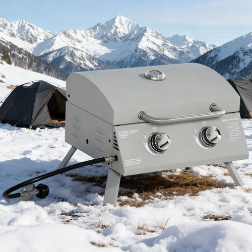 21.75" Portable Grill with 2 Burners Camping