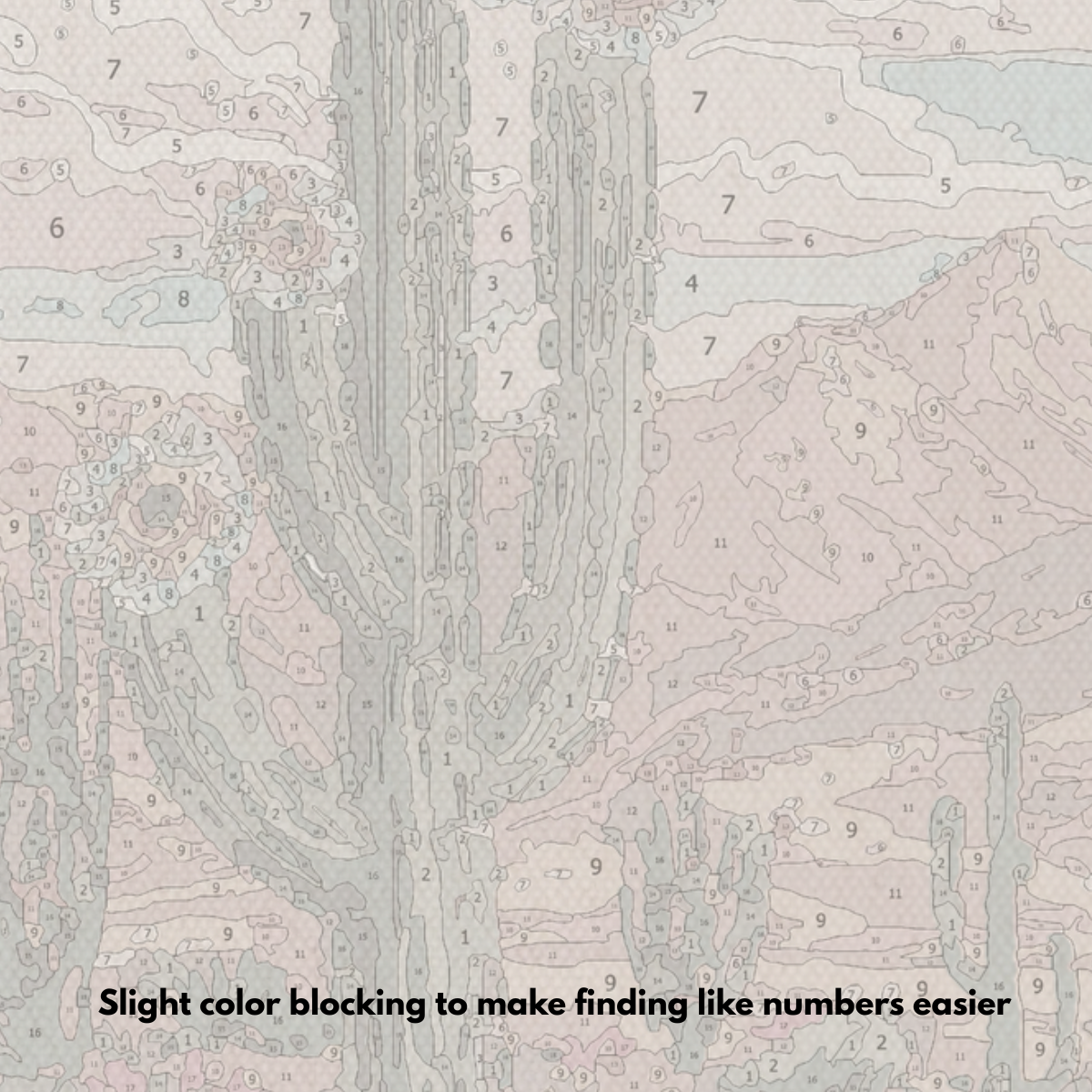 Southwest Paradise - Paint by Numbers Kit
